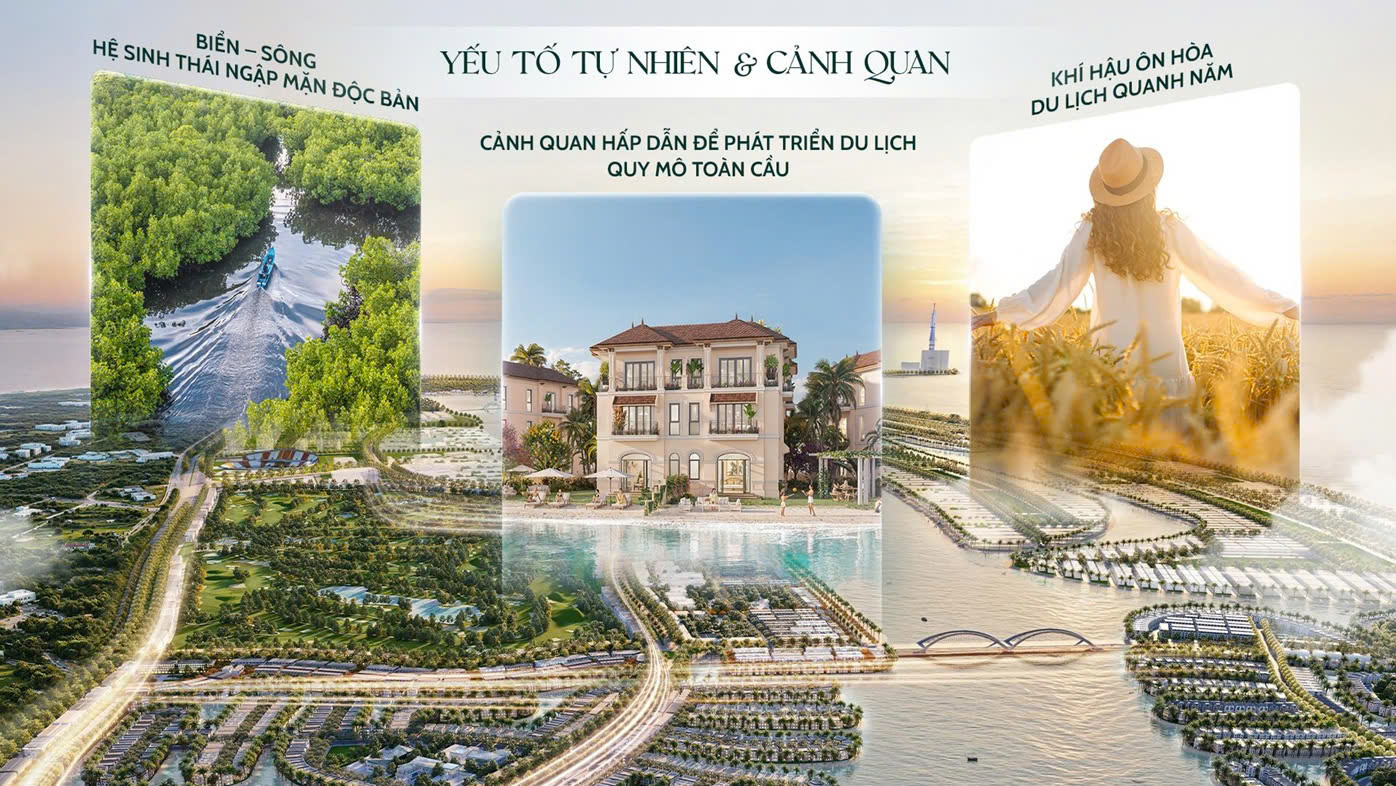 Ibuyer Việt Nam