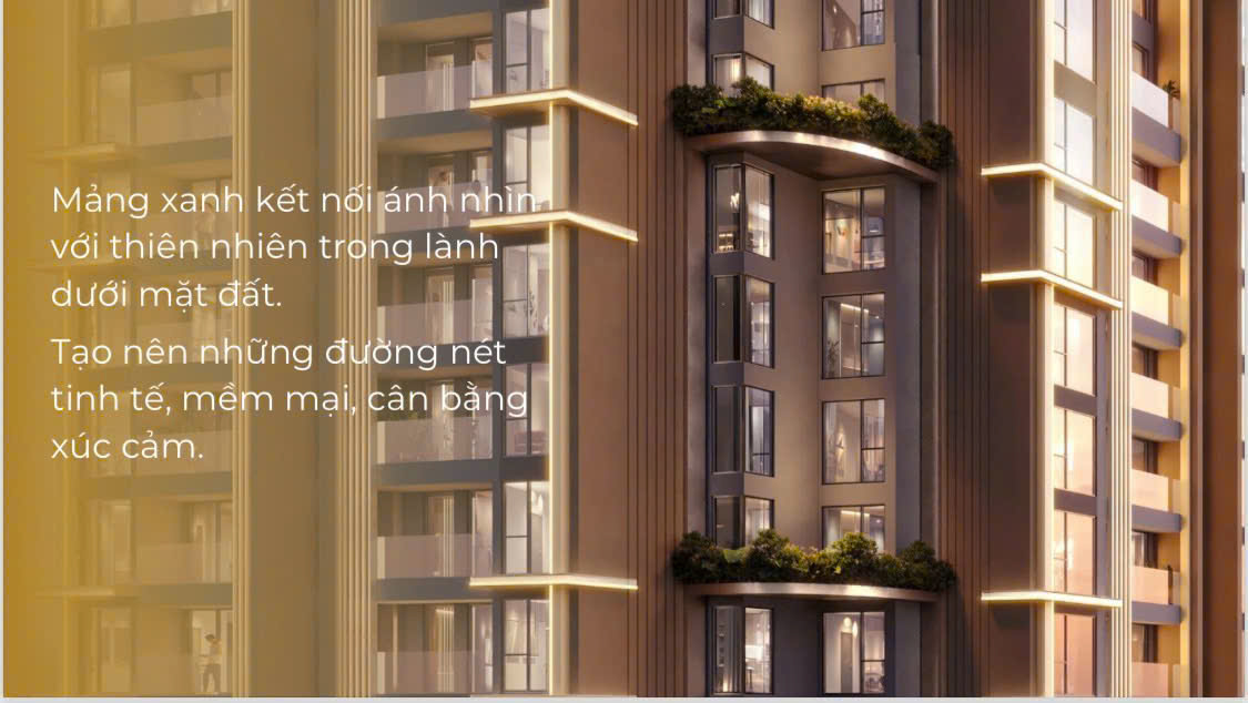 Ibuyer Việt Nam